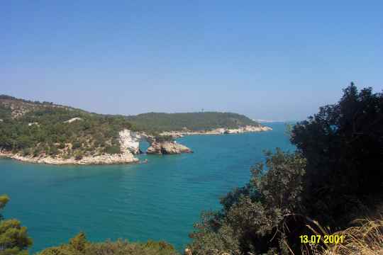 Vieste4.jpg (13728 byte)