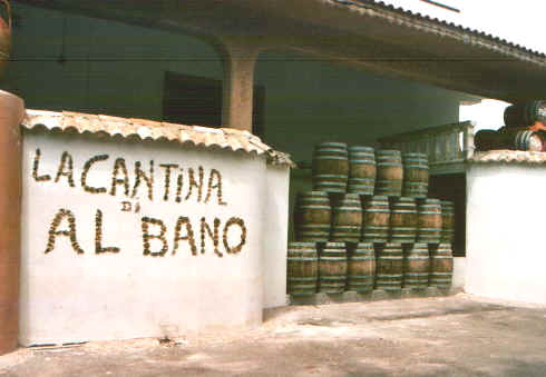 albano.jpg (46523 byte)