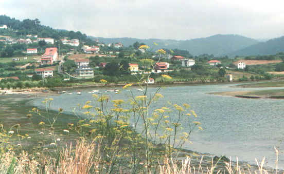 Costenord.jpg (60767 byte)