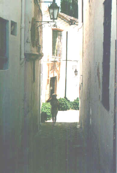 Rondavicoli.jpg (42305 byte)