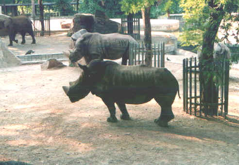 Zoo1.jpg (65754 byte)
