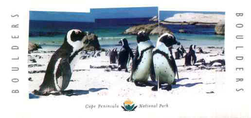 Bulders2a.jpg (20555 byte)