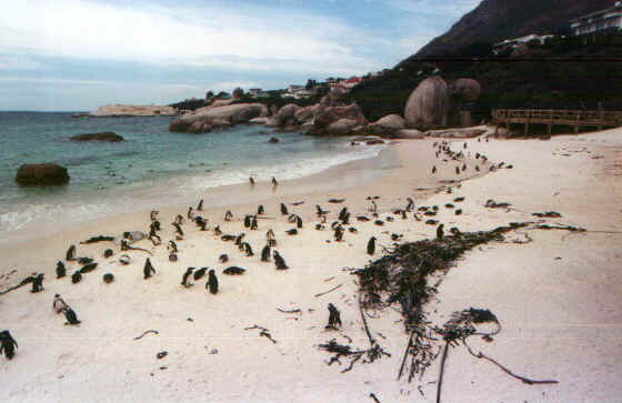 Bulders3.jpg (49385 byte)