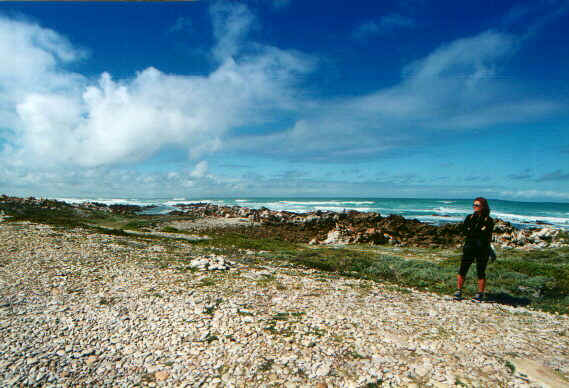 agulhascosta.jpg (72296 byte)