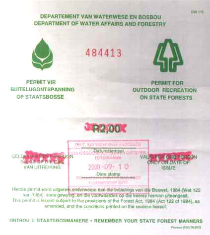 bigtree.jpg (16737 byte)