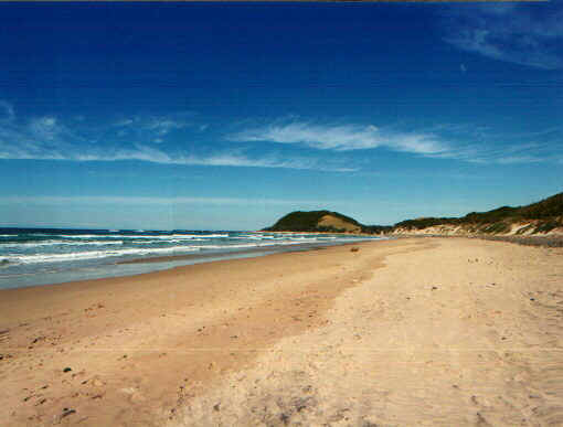 coffeebay.jpg (39066 byte)