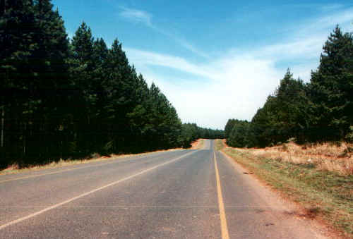 drakpaesaggio.jpg (48819 byte)