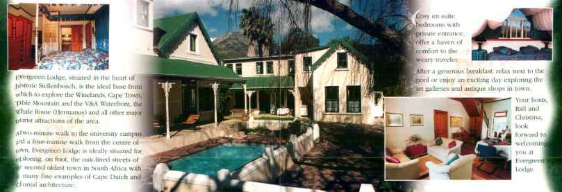 evergreen1.jpg (33490 byte)