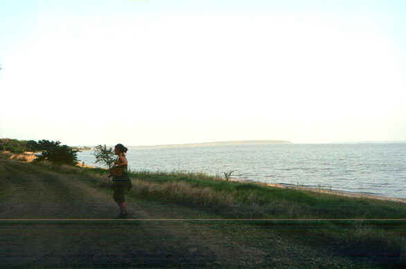 falsebay.jpg (26758 byte)