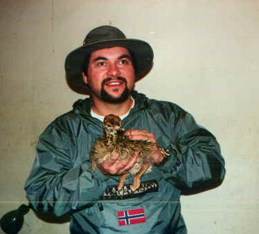 fedestruzzo.jpg (41180 byte)