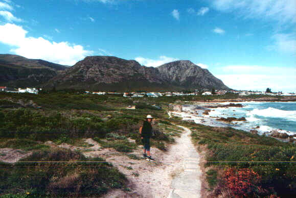 hermanuswalk.jpg (57194 byte)