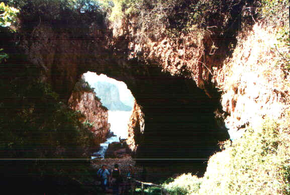 knysnareserve.jpg (74508 byte)