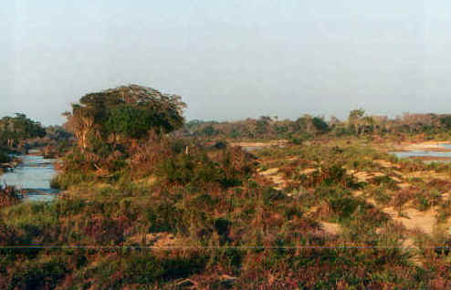 krupaesaggio.jpg (53633 byte)