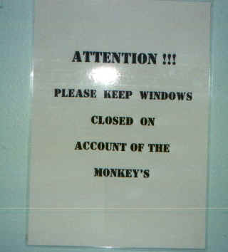 monkeyumhlanga.jpg (28003 byte)