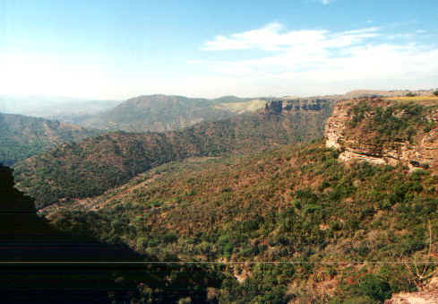 oribi2.jpg (60143 byte)