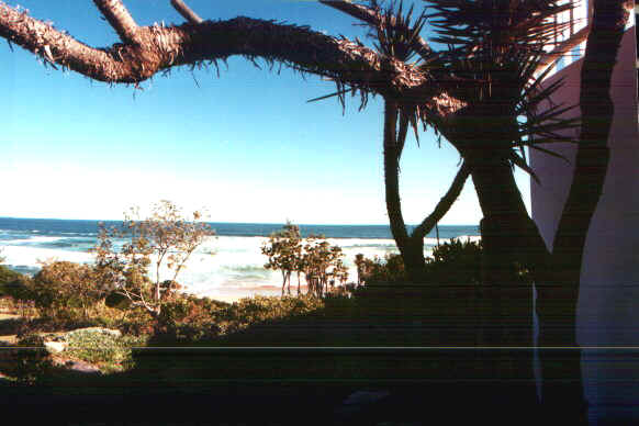 wilderview.jpg (54011 byte)