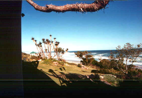 wilderview2.jpg (48554 byte)