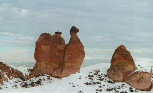 caminicammelli.jpg (42724 byte)