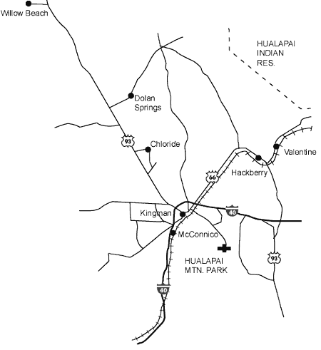 KIN.gif (10248 byte)