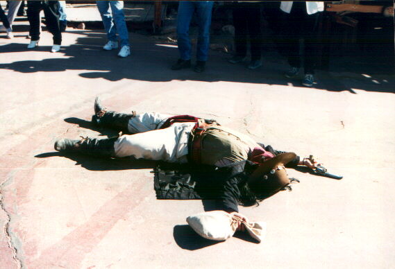 calico2.jpg (42468 byte)